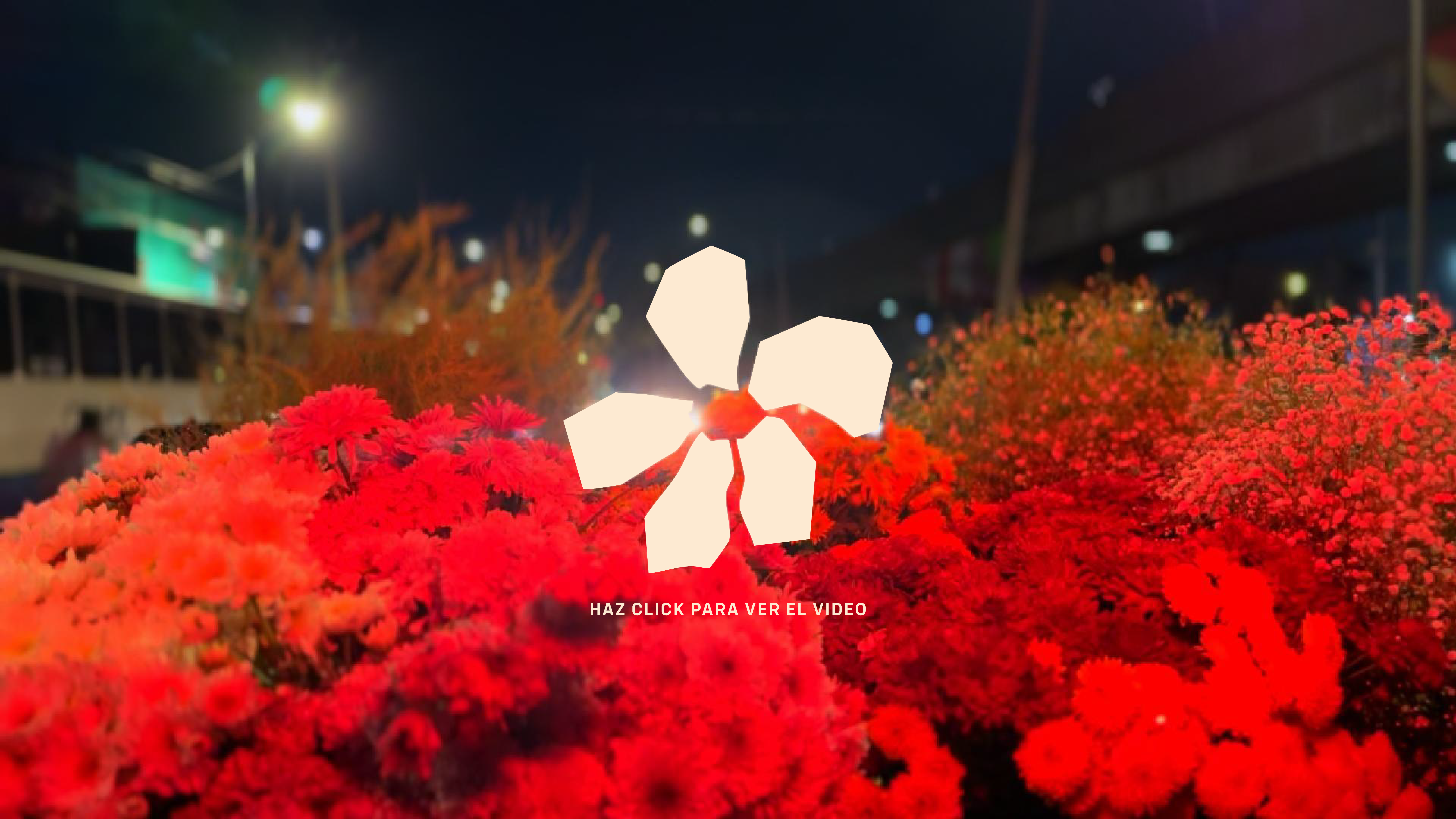 Poster Rastros de Jamaica