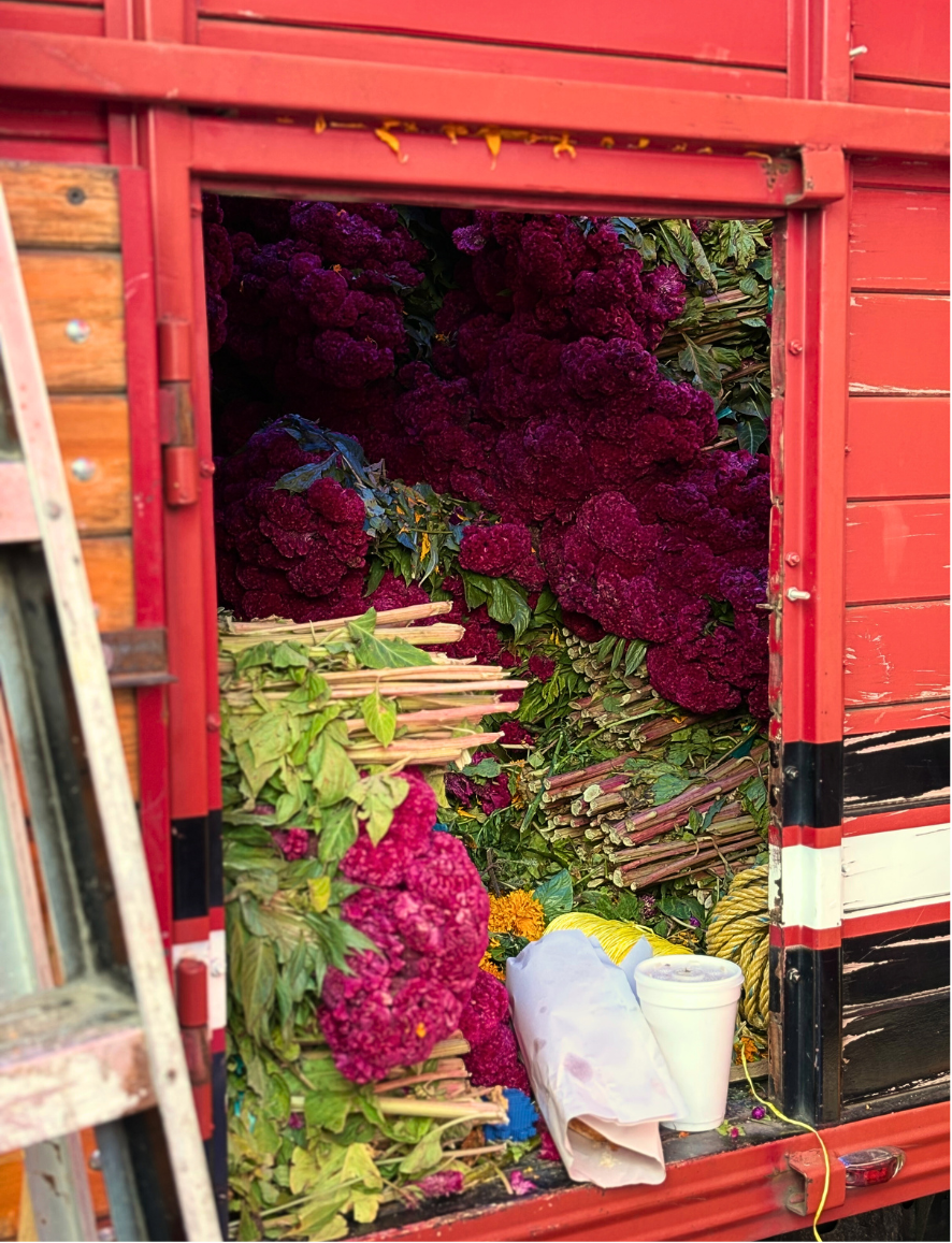 Camioneta con flores arriba tapada por telas