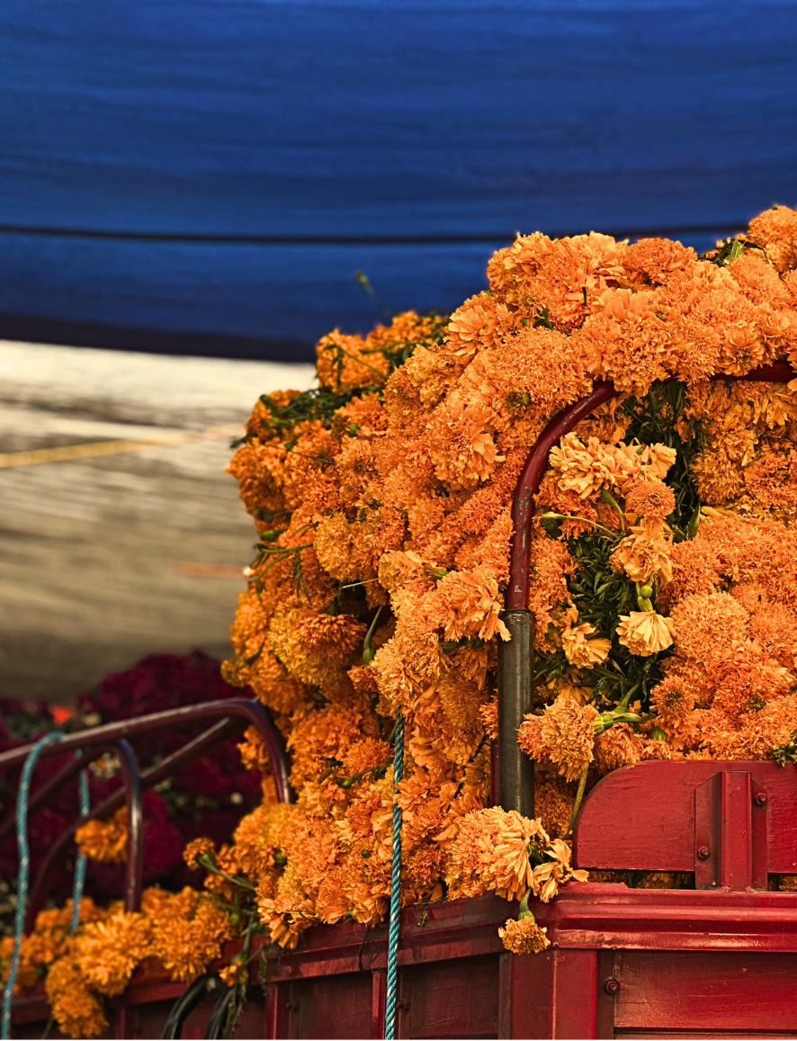 Camioneta con flores arriba tapada por telas