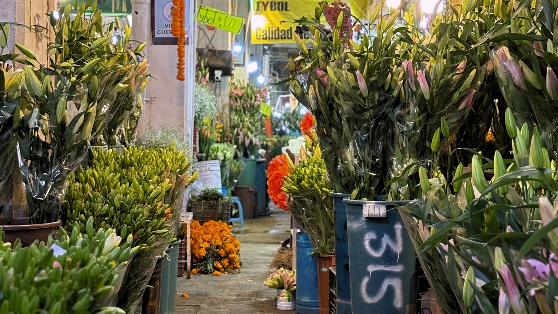 Pasillo del Mercado de Jamaica