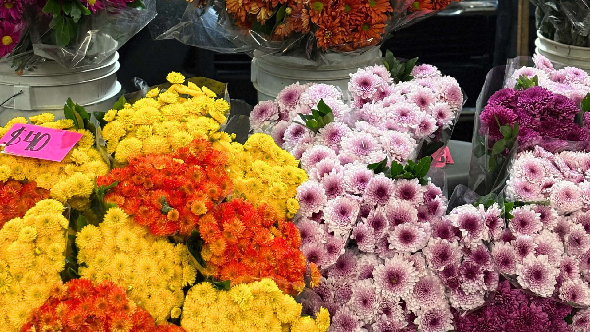 Flores moradas, naranjas y amarillas